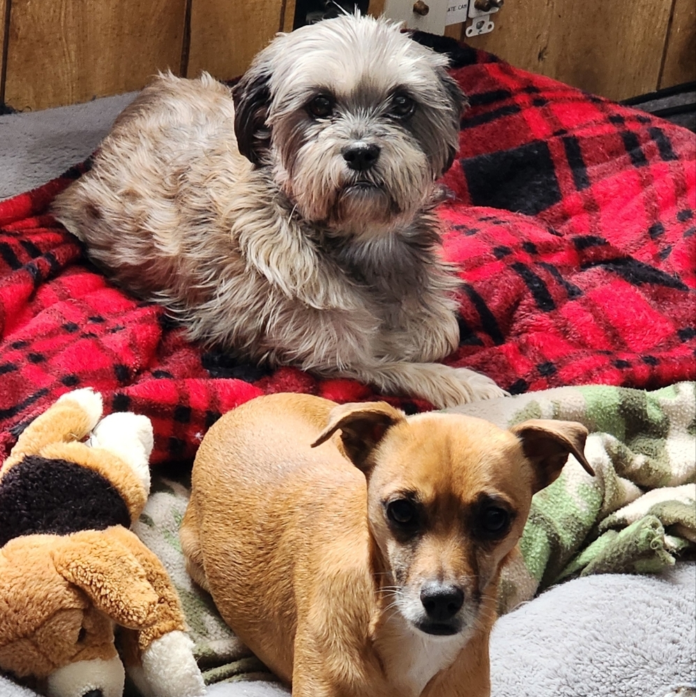 Meet your Posher, Maura